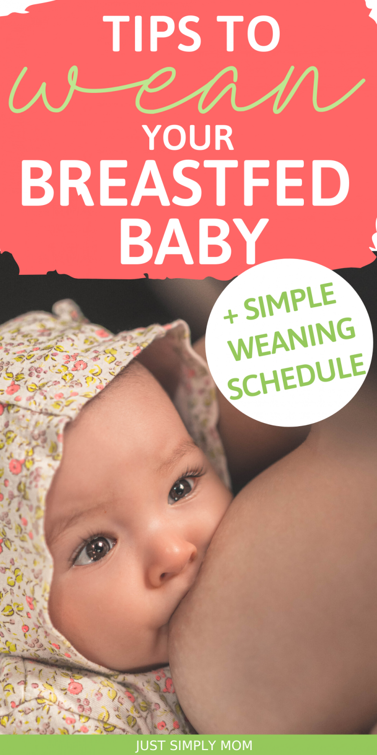 How to Wean a Breastfed Baby Tips and a Weaning Schedule Just