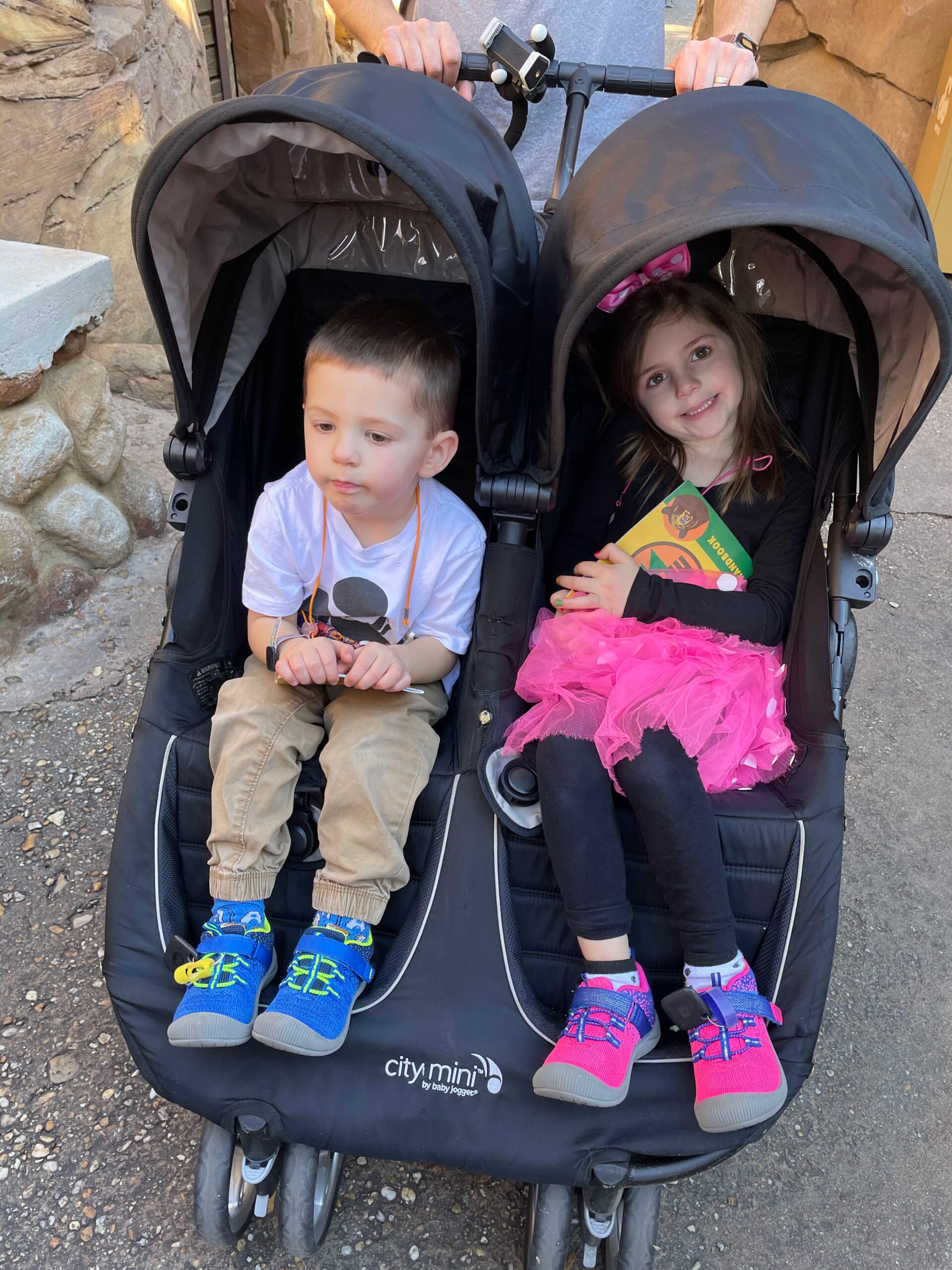 The 6 Best Double Strollers for Disney World or Disney Land Just