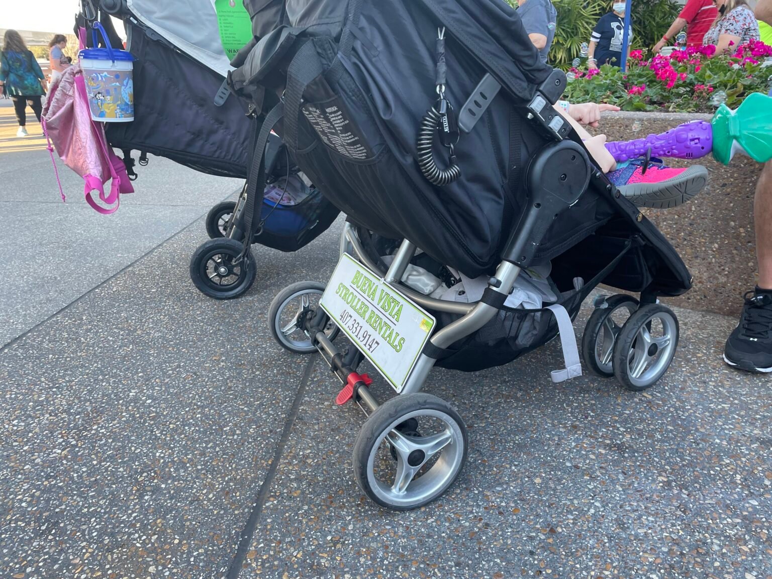 The 6 Best Double Strollers for Disney World or Disney Land Just