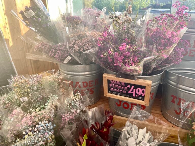 The Ultimate Guide to Making Inexpensive Bouquets with Trader Joe's